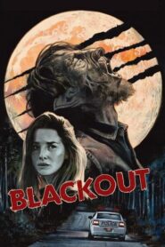 Blackout (2024) Hindi Full Movie Watch Online HD Print Free Download 9animetv